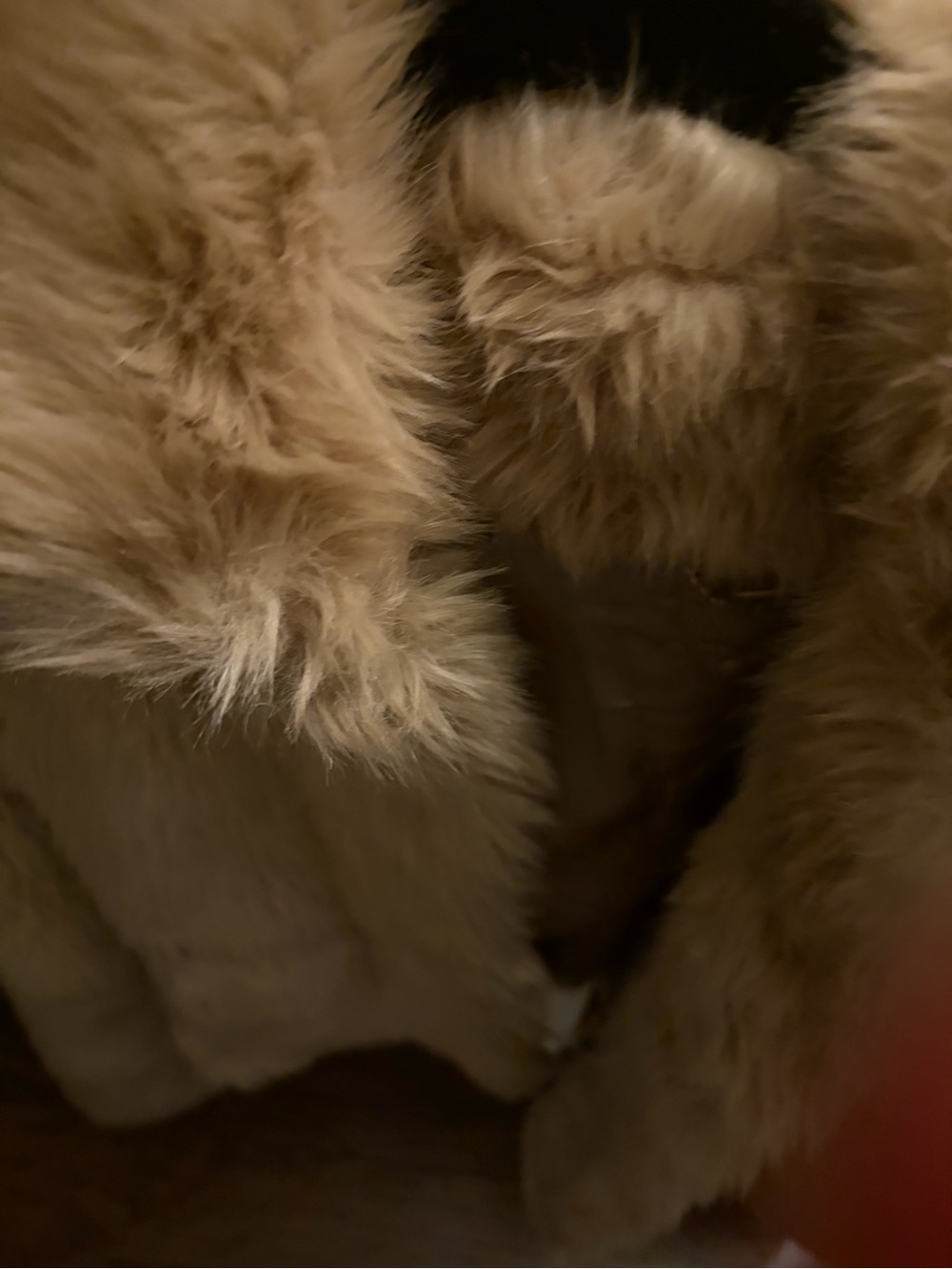 Luxury Women's Faux Fur Coat - Beige